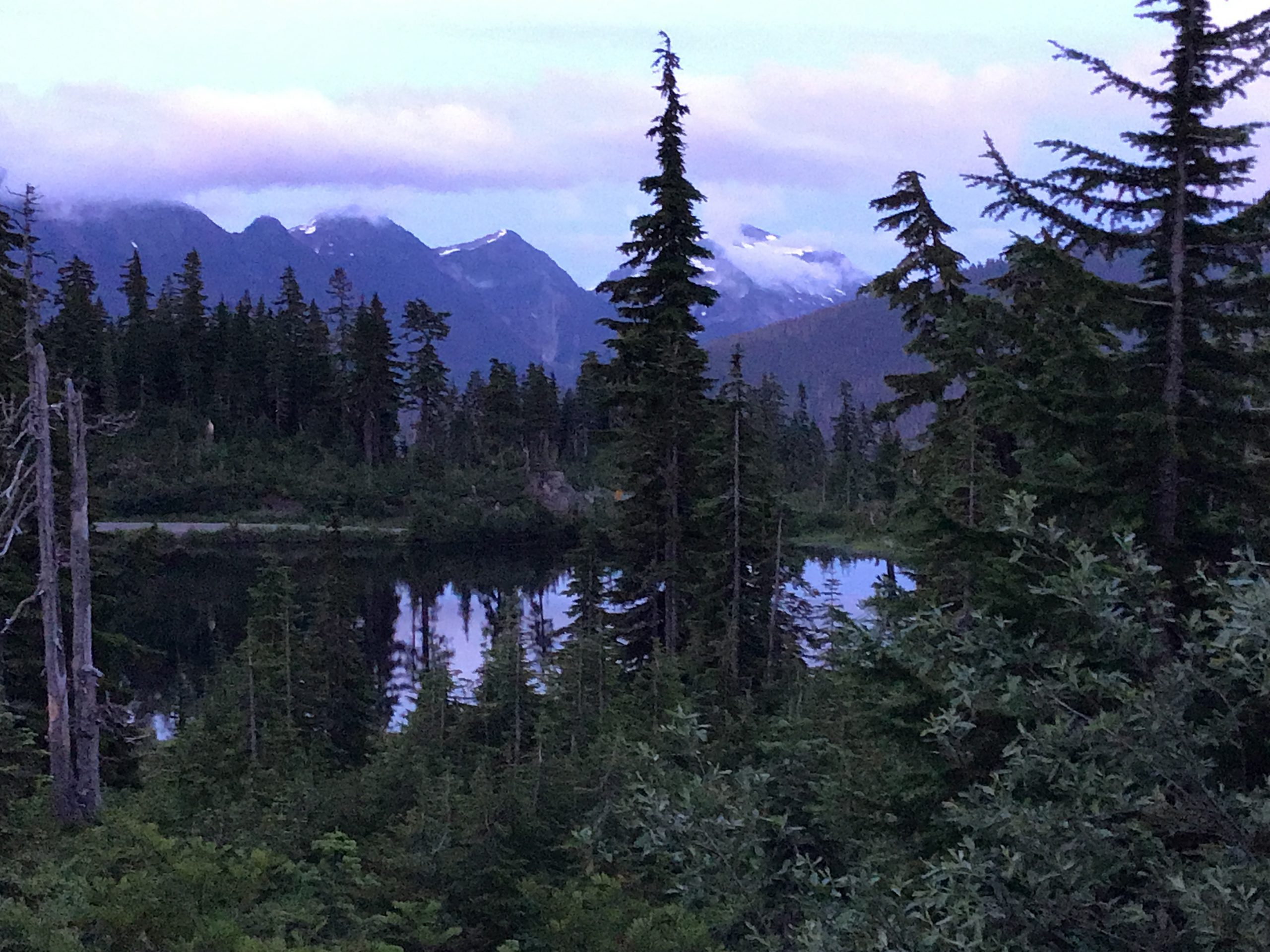 Logo for pauletteica.com